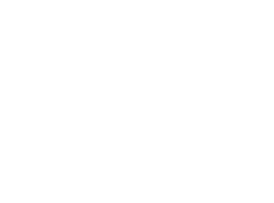 Marca Chile